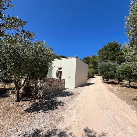 شقة Casettina Matilda أوستوني